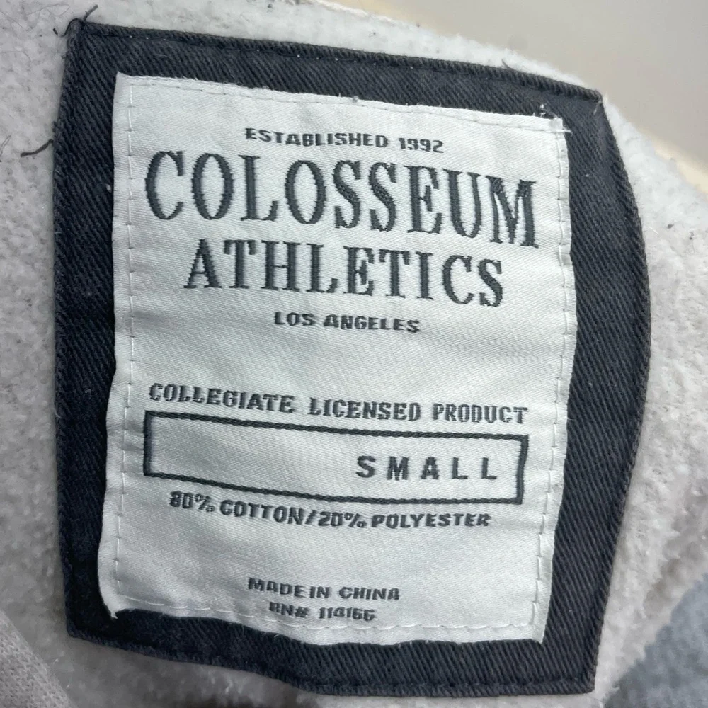 Colosseum Florida State Seminoles Cream and Gray Hoodie - Picture 3 of 4